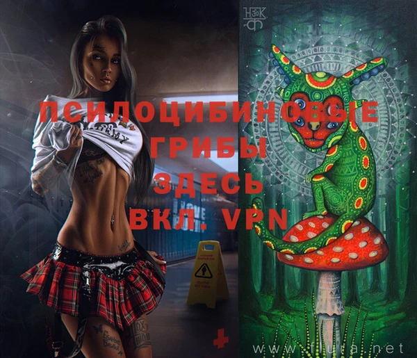spice Пестово