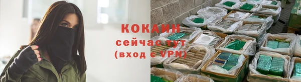 ешки Арсеньев
