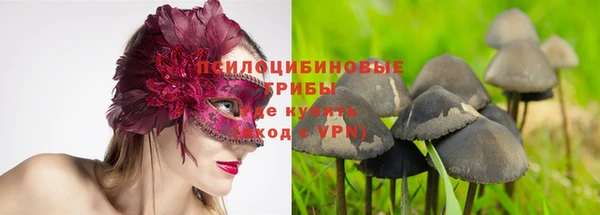 спайс Аркадак