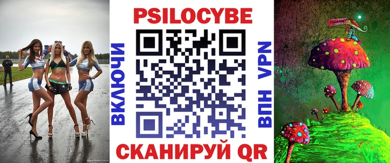 Псилоцибиновые грибы Psilocybe  Сергач 